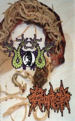 Proctalgia : Uteromoniasis - Proctalgia